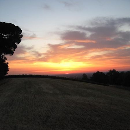 Tenuta Olmatello Quartolo Exteriör bild