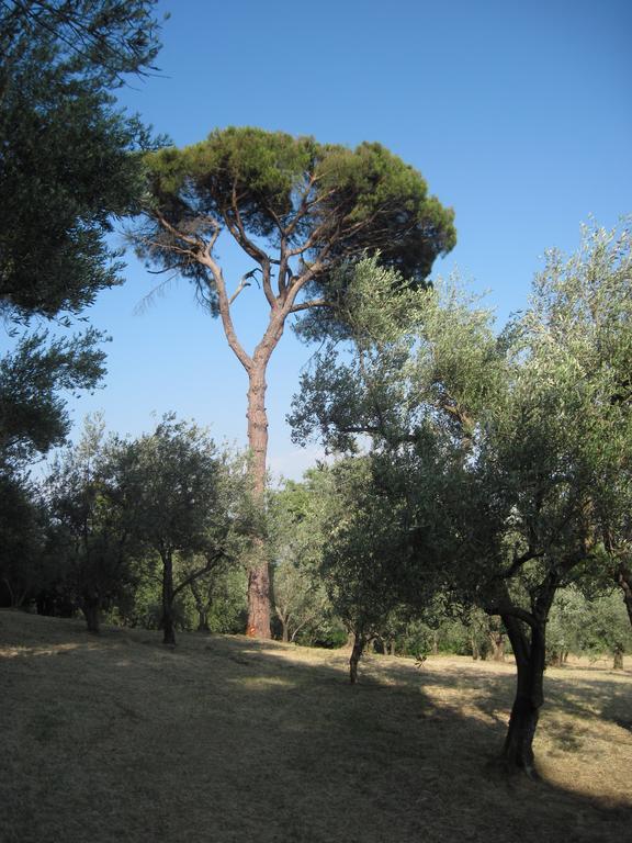 Tenuta Olmatello Quartolo Exteriör bild