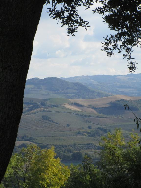 Tenuta Olmatello Quartolo Exteriör bild
